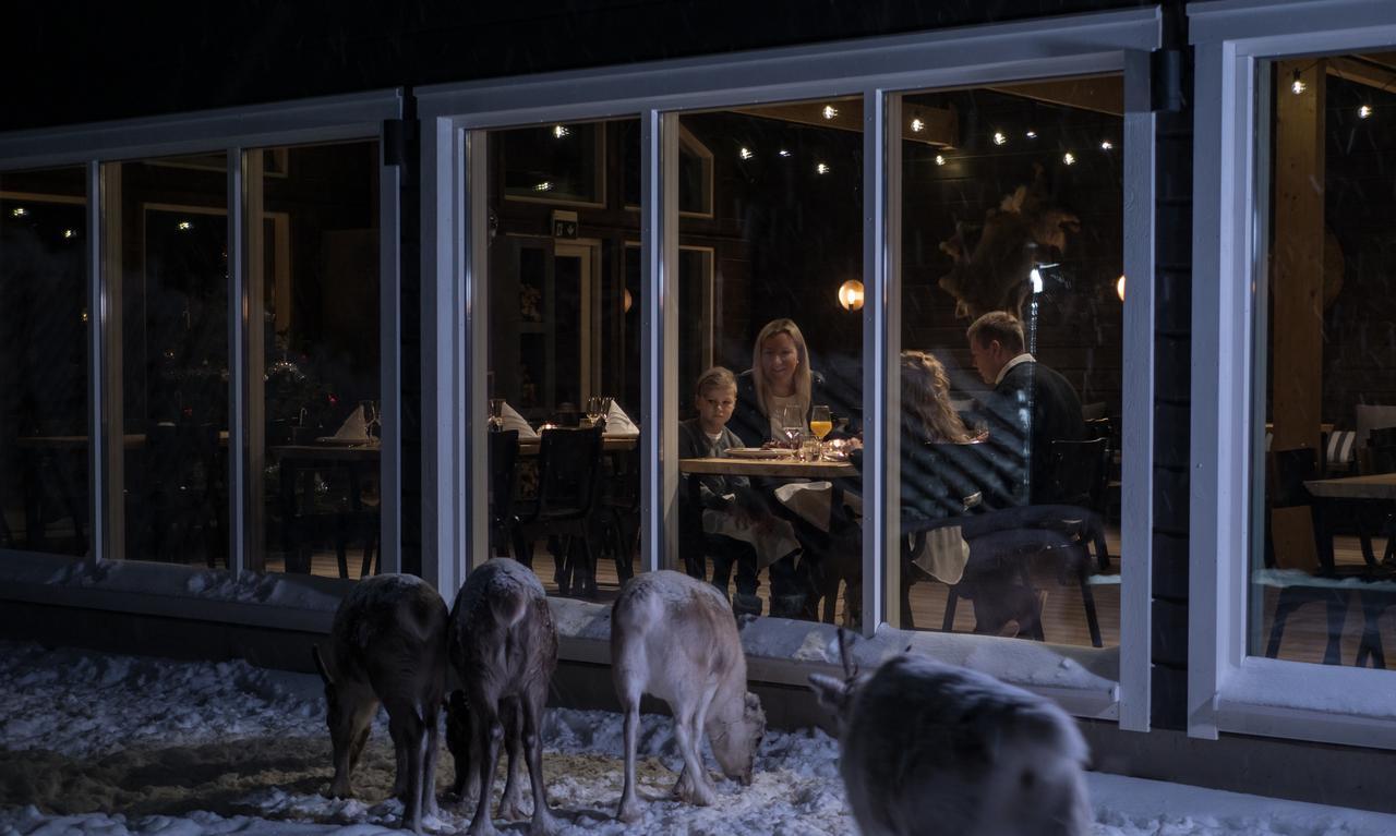 Northern Lights Ranch Levi Exteriér fotografie
